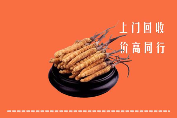 高价求购：满洲里市回收散虫草