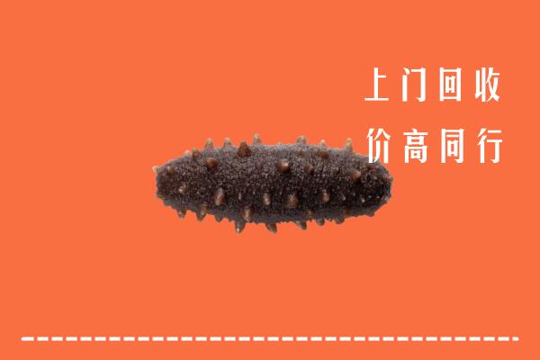 高价求购：满洲里市回收海参