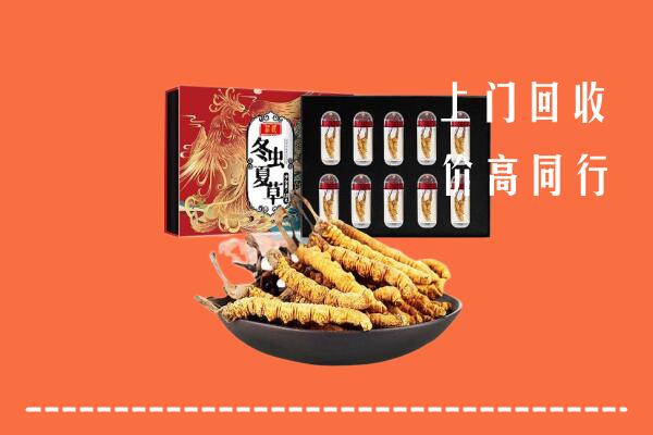 收购行情：满洲里市回收虫草